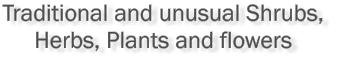 Traditional and unusual Shrubs,  Herbs, Plants and flowers